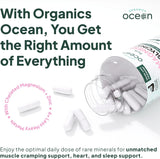 Organics Ocean Pure Magnesium Glycinate Low Dose Zinc Chelated 90 Capsules NEW (PACK OF THREE)
